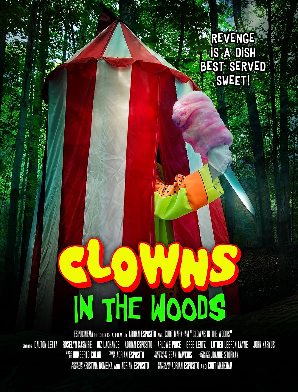 Movie poster for Clowns in the Woods